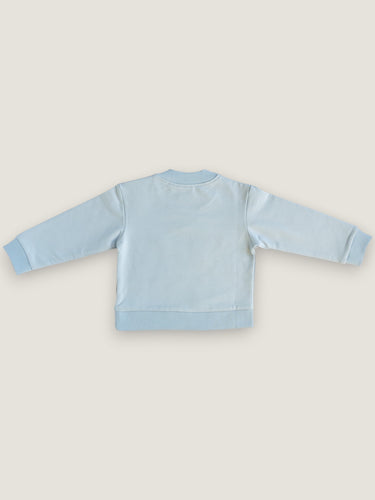 Terry sweatshirt ∼ blueberry bliss