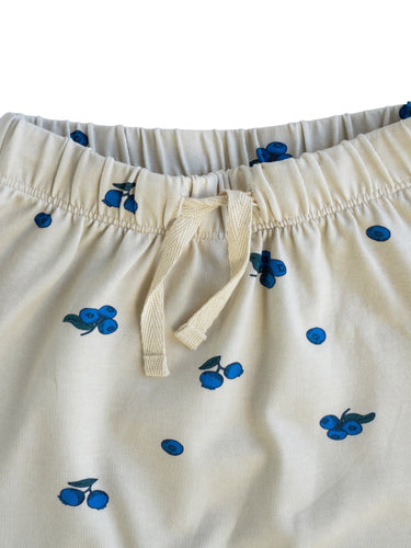 Sage pants ∼ Blueberry