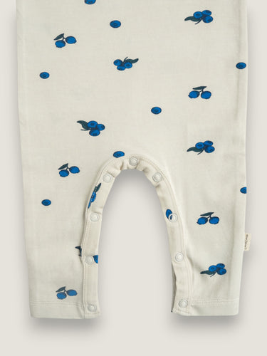 Louie playsuit ∼ Blueberry