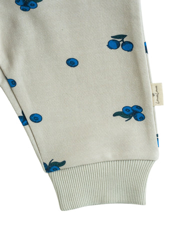 Terry sweatpants ∼ Blueberry