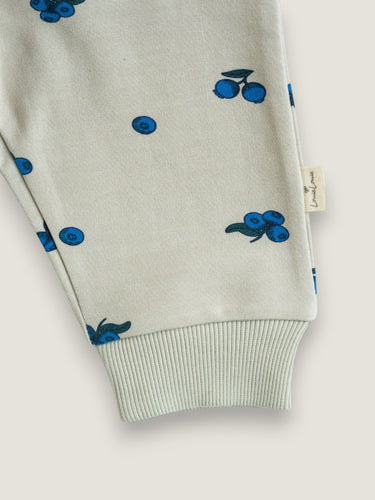 Terry sweatpants ∼ Blueberry