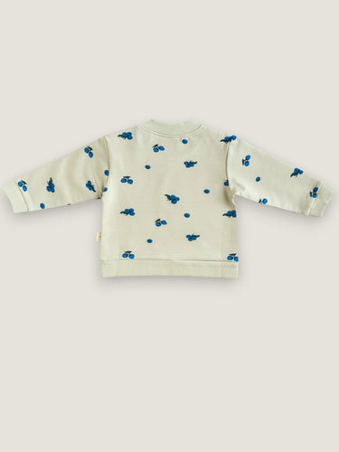 Terry sweatshirt ∼ Blueberry